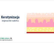 Keratynizacja