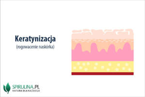 Keratynizacja