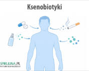 Ksenobiotyki
