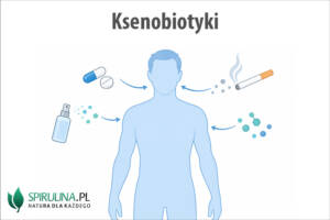 Ksenobiotyki