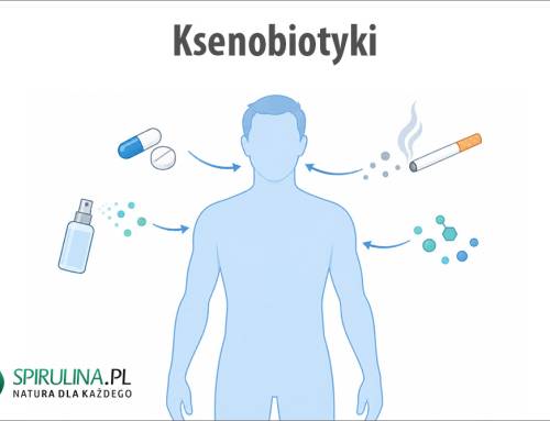 Ksenobiotyki