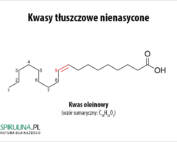 Kwasy tłuszczowe nienasycone