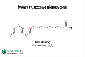 Kwasy tłuszczowe nienasycone