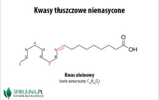 Kwasy tłuszczowe nienasycone
