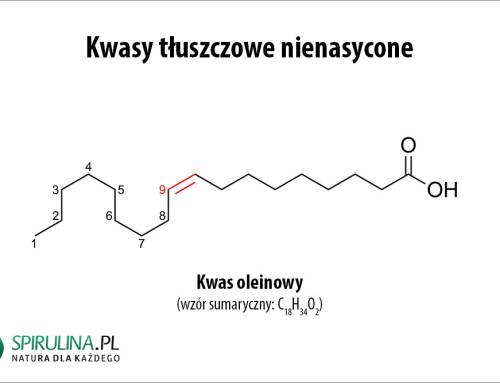 Kwasy tłuszczowe nienasycone