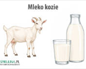 Mleko kozie