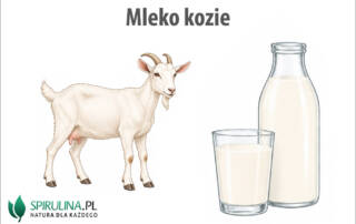 Mleko kozie