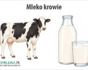 Mleko krowie