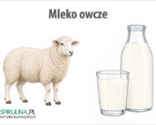 Mleko owcze
