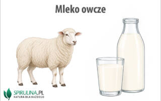 Mleko owcze