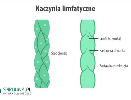 Naczynia limfatyczne