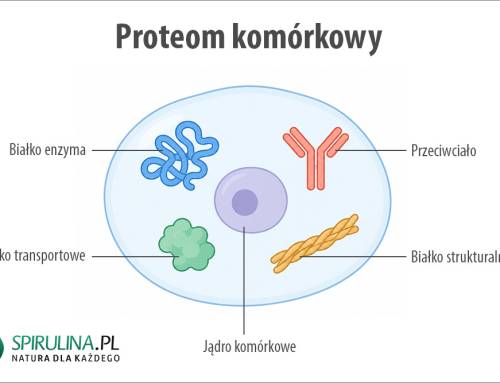 Proteom