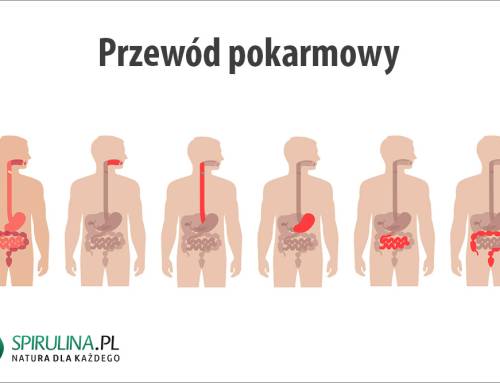 Przewód pokarmowy