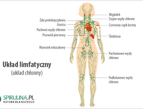Układ limfatyczny