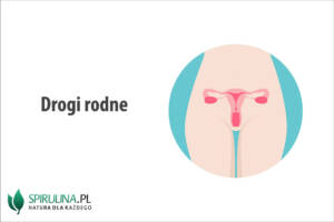 Drogi rodne