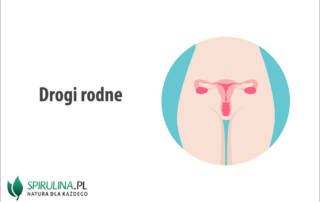 Drogi rodne
