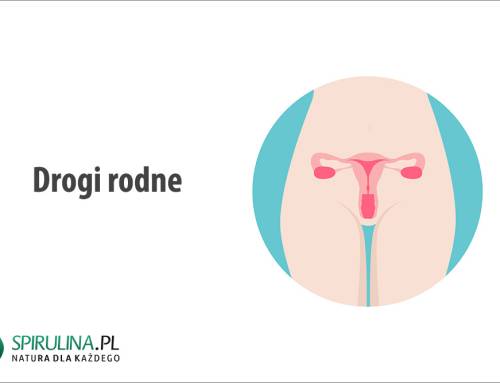 Drogi rodne