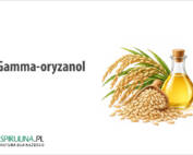 Gamma-oryzanol