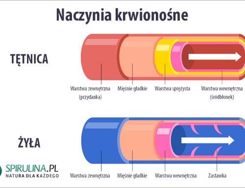 Naczynia krwionośne